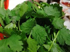 -庄老幺火锅(娄山关路店)