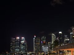 -新加坡文华东方酒店