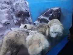 -多彩贵州城极地海洋世界