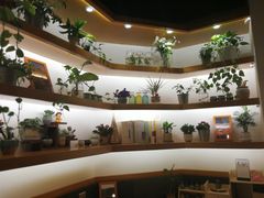 -十二舍·湯物素煮(江泰潤政店)