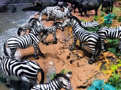 -KKV(深圳宏发大仟里店)