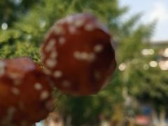-邓记新一代糖油果子(四川煤管局供销公司职工宿舍店)