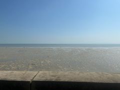 -北海金海湾红树林生态旅游区