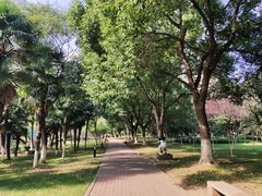 景点-中央公园(苏州工业园区)