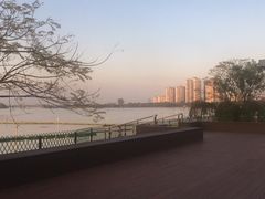 -金银湖国家城市湿地公园
