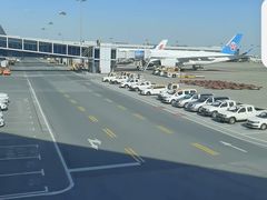 -爱马仕 HERMES(上海虹桥机场店)