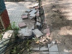 -黑龙江省森林植物园