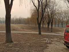 -东坝千亩湖公园