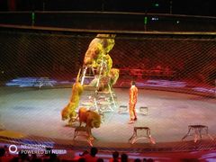 -珠海横琴长隆《卡卡虎奇遇记》