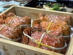 -黄记大闸蟹专卖店·活蟹·醉蟹