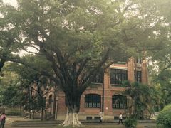 -中山大学学者灵芝(园南路店)