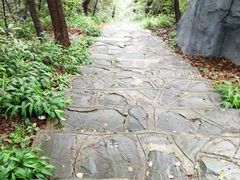 -石燕湖生态旅游景区