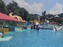 -重庆海昌加勒比海水世界