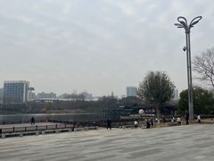 -洋湖国家湿地公园