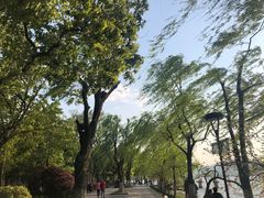 -柳浪闻莺公园