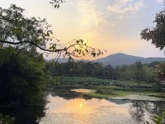 -中国茶叶博物馆(双峰馆区)