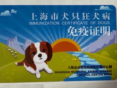 -瑞派天使宠物医院·神经外科·骨科·核磁(洛川中路店)