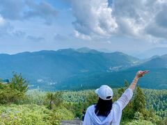 -武陵山森林公园