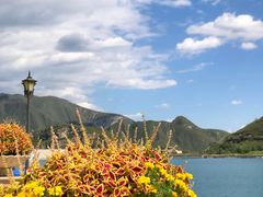 -天鹅湖生态旅游风景区