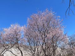 -北京明城墙遗址公园