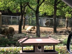 -常州淹城野生动物世界
