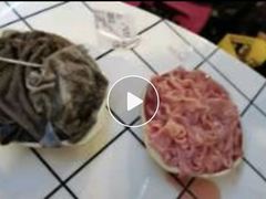 -储奇门鳝鱼火锅(总店)