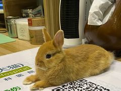 -雨林宠物医院 非犬猫异宠专科
