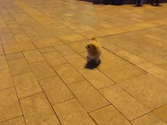-阜阳站