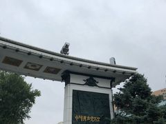 -人民防洪胜利纪念塔