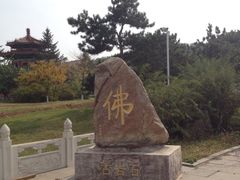 -玉佛苑