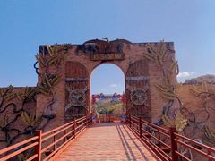 -世界恐龙谷景区