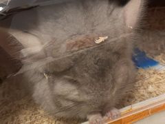 -龙猫仔乐园(惠福东路店)