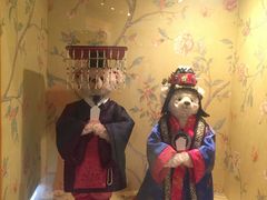 -济州岛泰迪熊博物馆