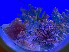 -海合安武汉极地海洋公园