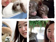 -藦茜花园宠物主题亲子互动体验馆(国顺东路店)
