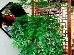 -名善山珍·野生菌汤锅(文殊院店)