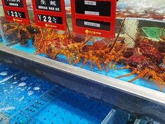 -炊江南·上海菜(国展华漕店)