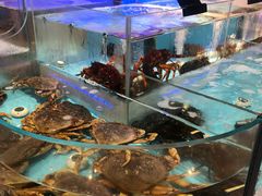 -同庆楼(滨湖万达广场店)