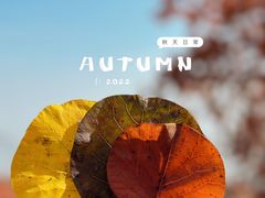 -周口店坡峰岭风景区