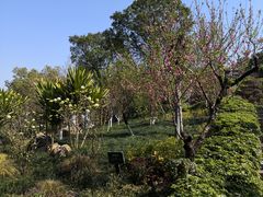 -乌山风景区