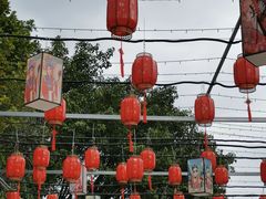 -光明农场大观园