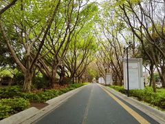 -白鹭洲公园