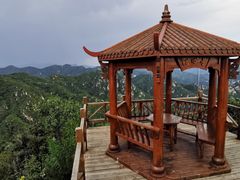 -大岭沟猕猴桃谷风景区