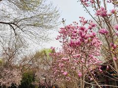 -丰台花园