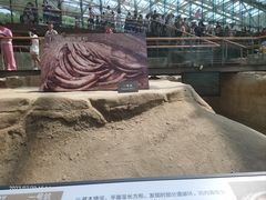 -金沙遗址博物馆