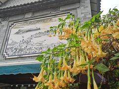 -海韵人家.海景花园经典云南菜(双廊店)