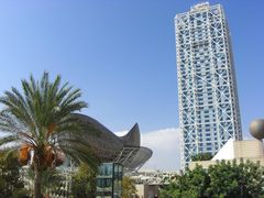 -小巴塞罗那海滩