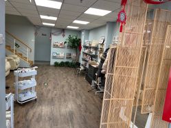 -摩睫+皮肤管理·科学美容中心