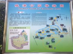 -晓港公园