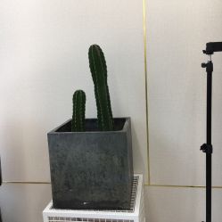 -时尚工厂·科学染发